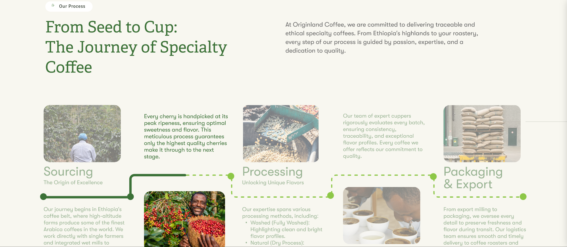 Desktop image 3 for Origin Land Coffee Exporter