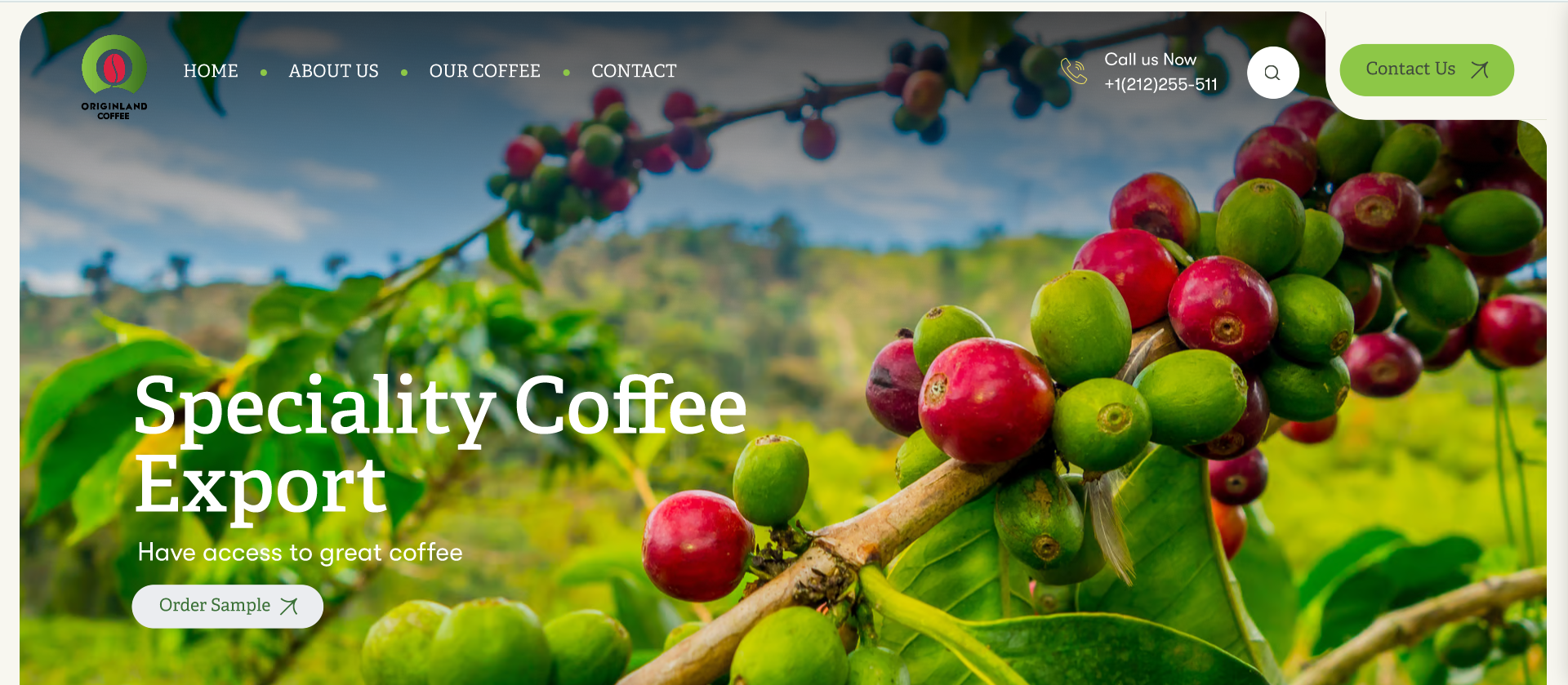 Origin Land Coffee Exporter